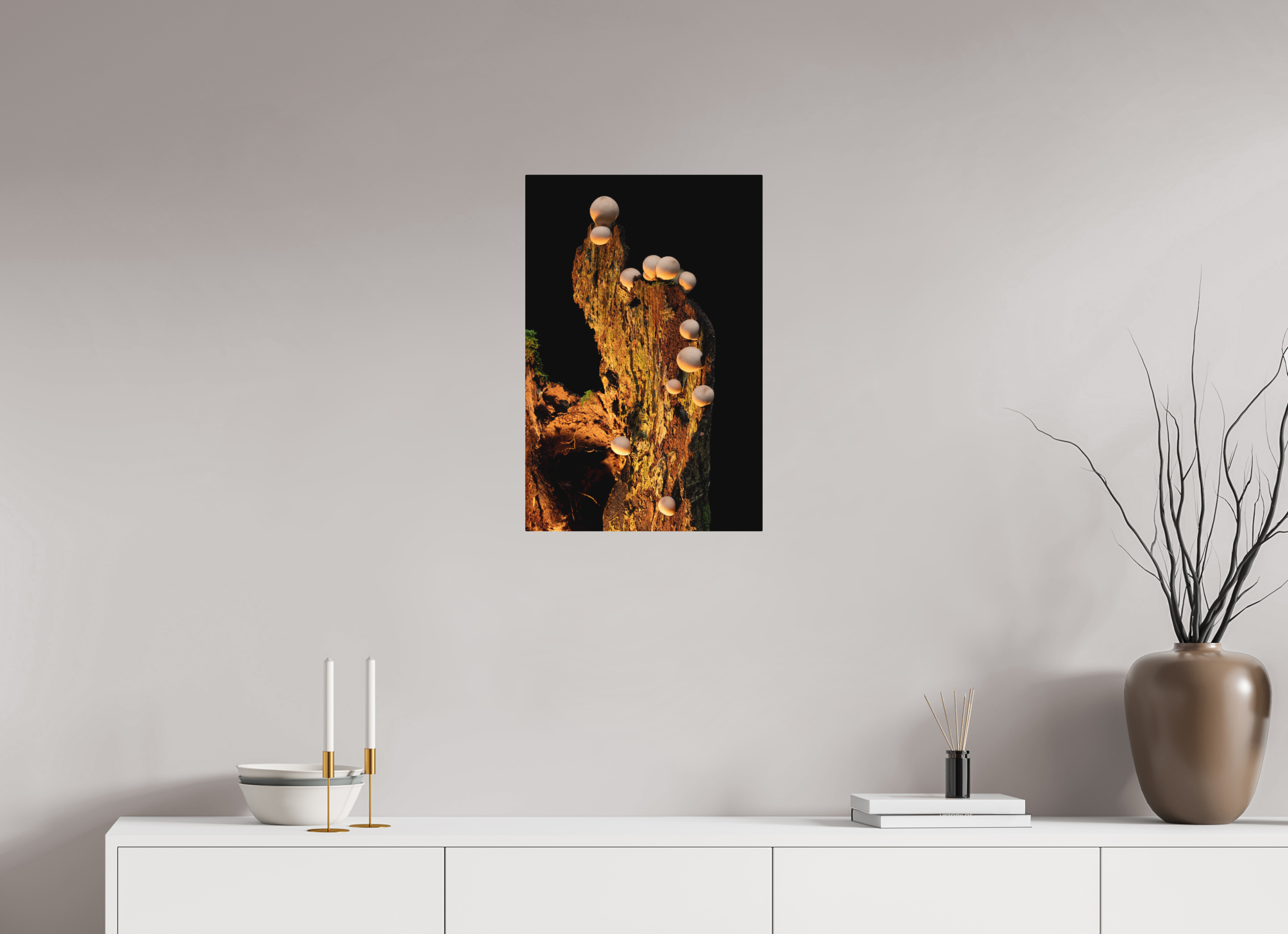 16 x 24″, Direct Print on Aluminum with mounting hardware included. Stepping Mushrooms