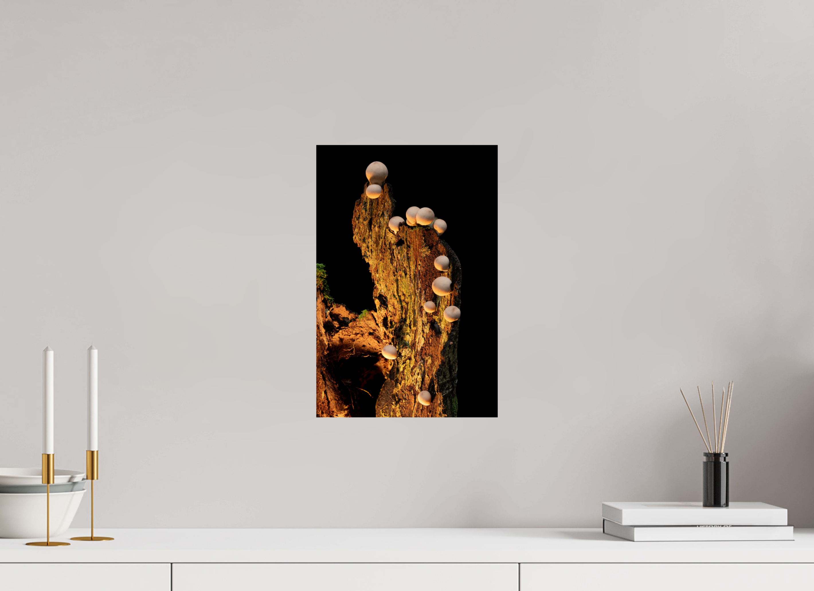 10 x 15″, Photo Print On Fuji Crystal DP II Stepping Mushrooms