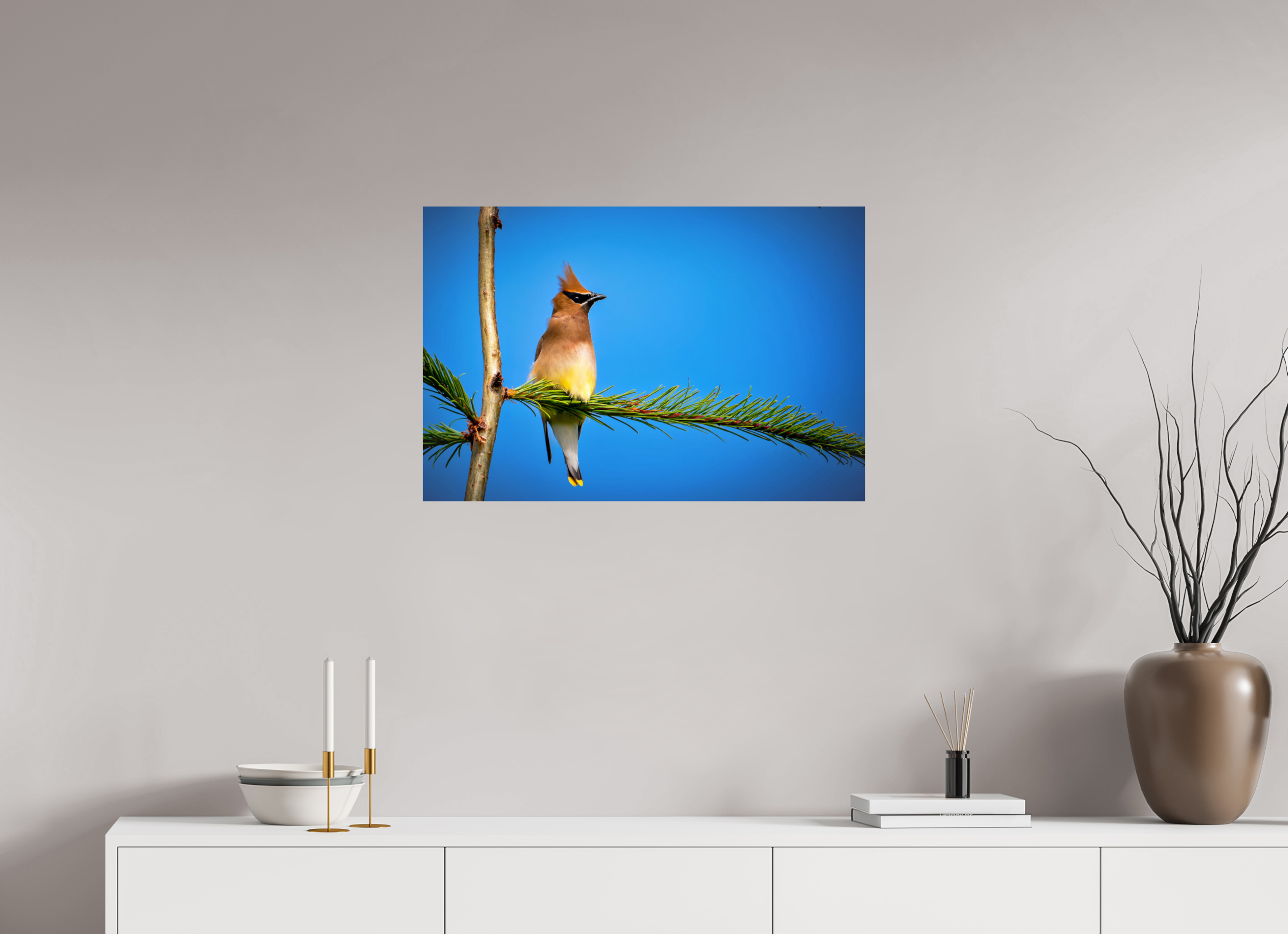 30 x 20″, Photo Print On Fuji Crystal DP II Waxwing