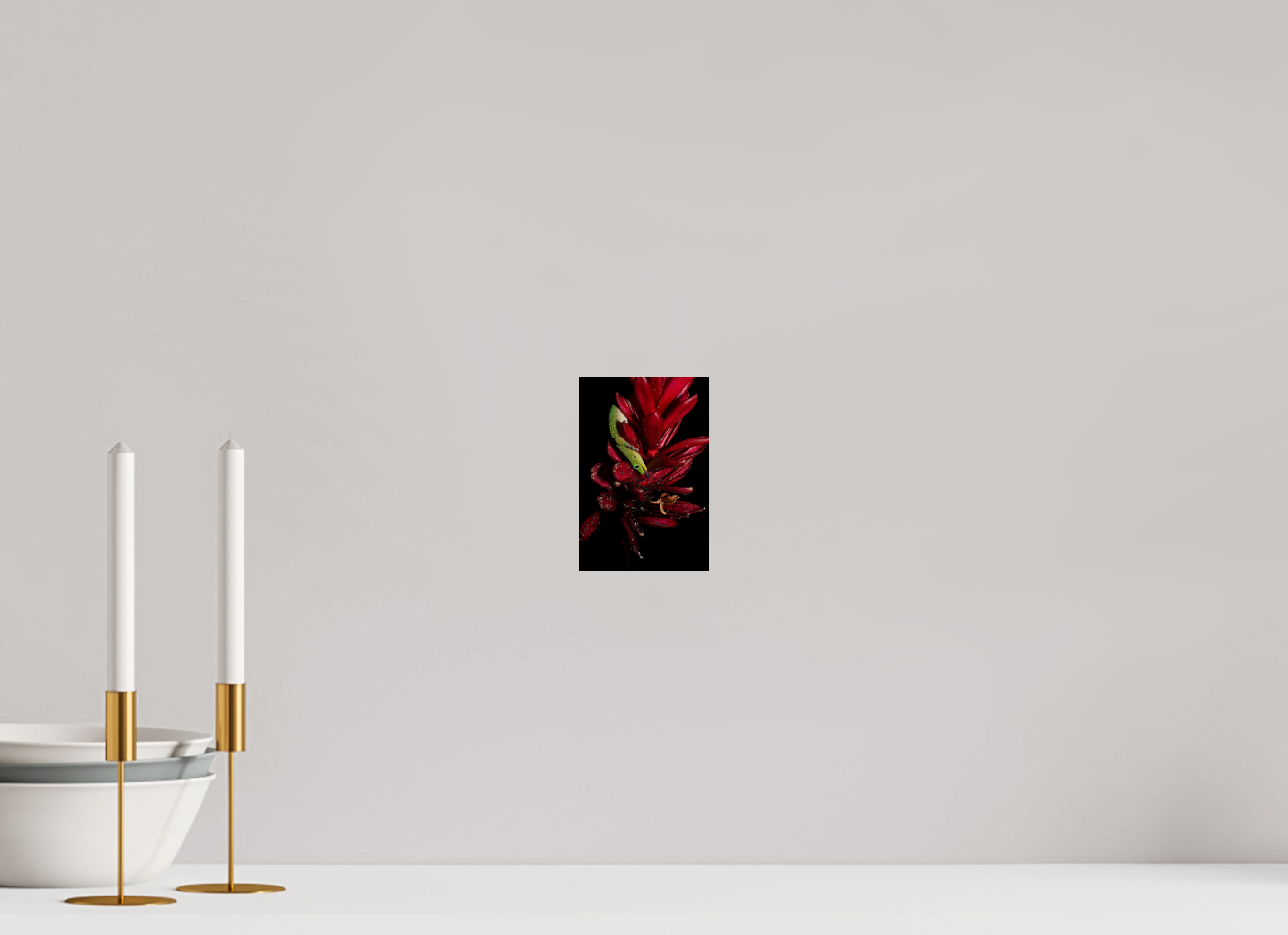 4 x 6″, Photo Print on Aluminum Backing Gecko on Flower