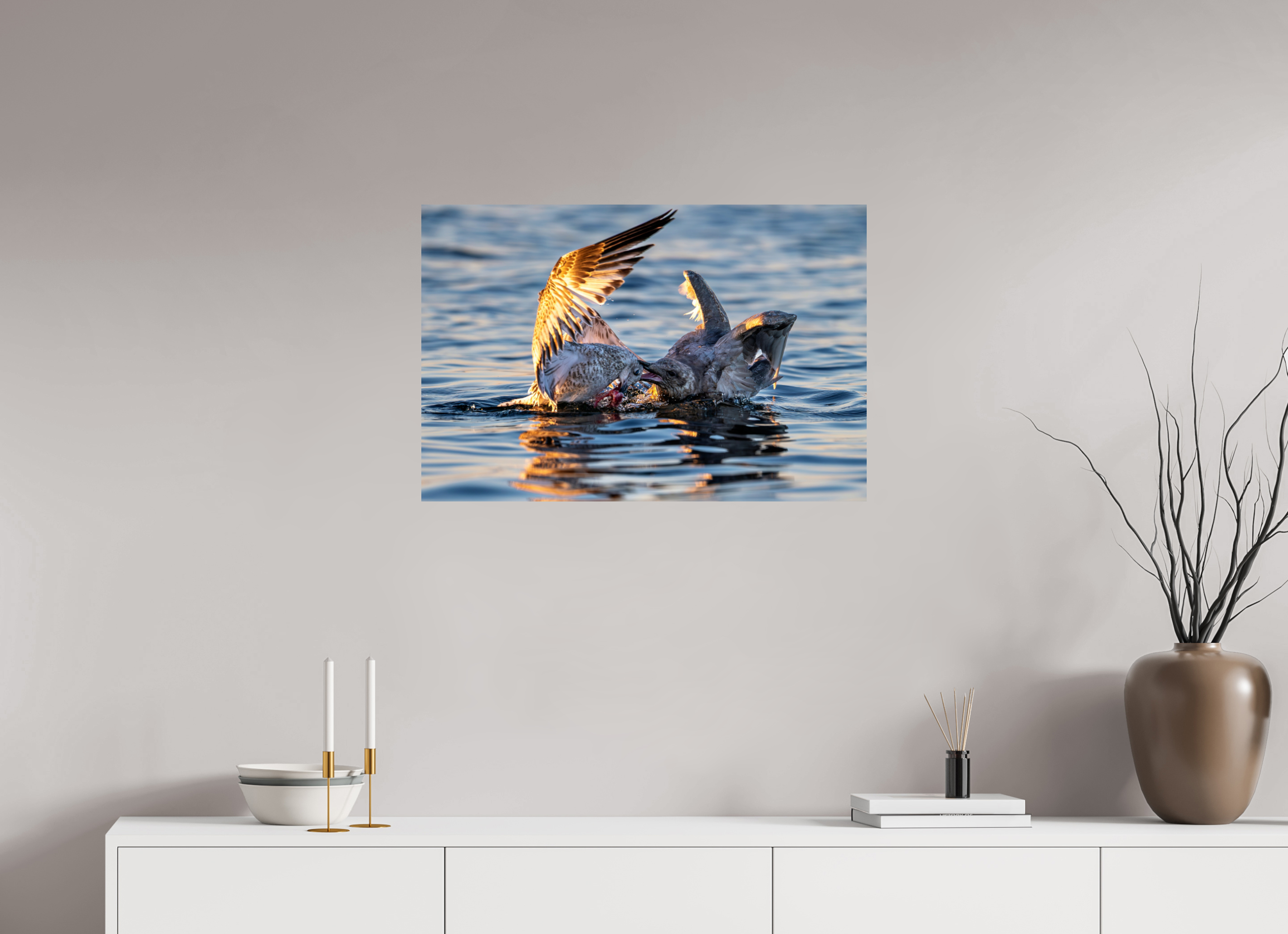 30 x 20″, Photo Print on Aluminum Backing Seabird Battle