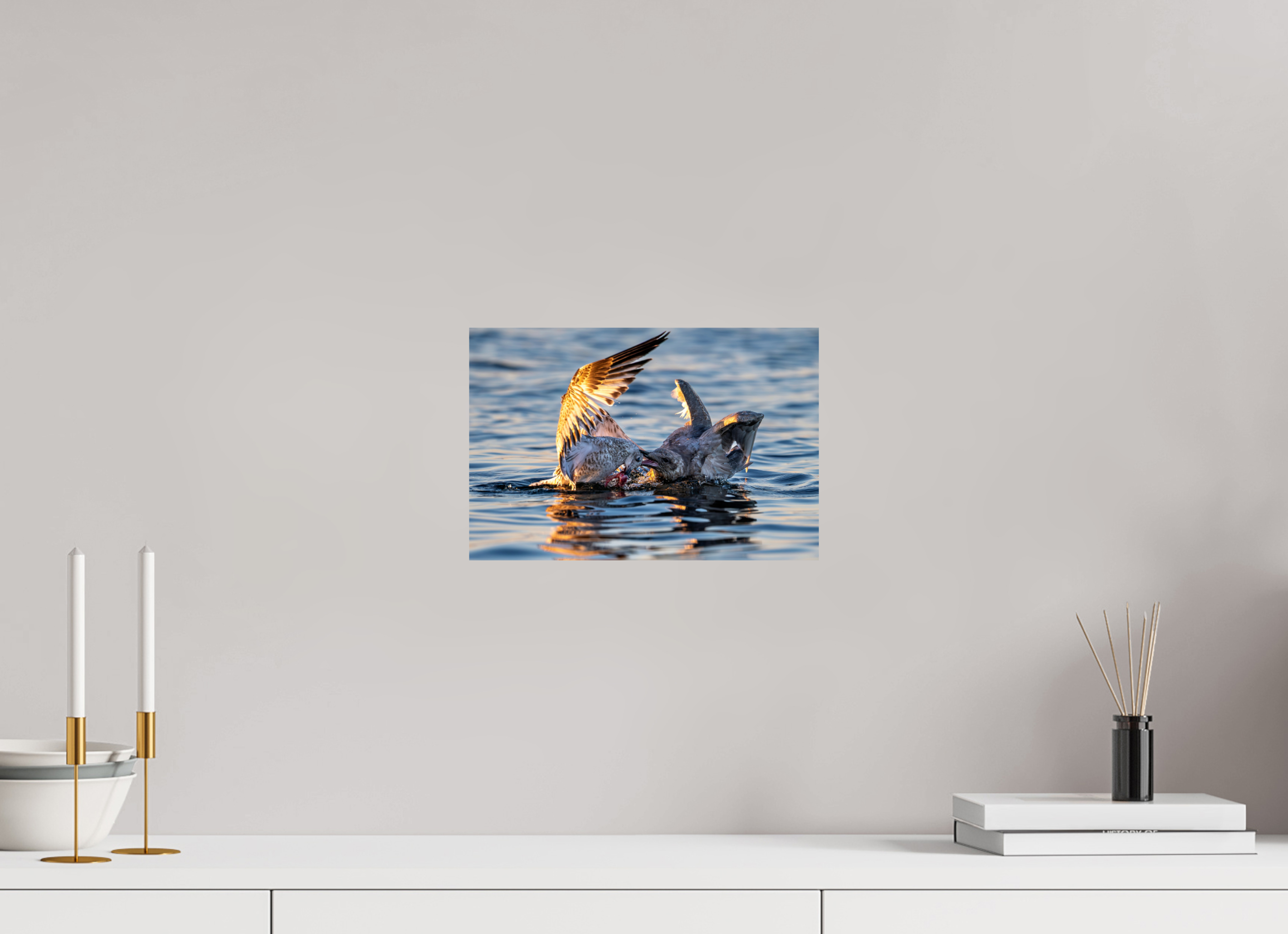 12 x 8″, Photo Print on Aluminum Backing Seabird Battle