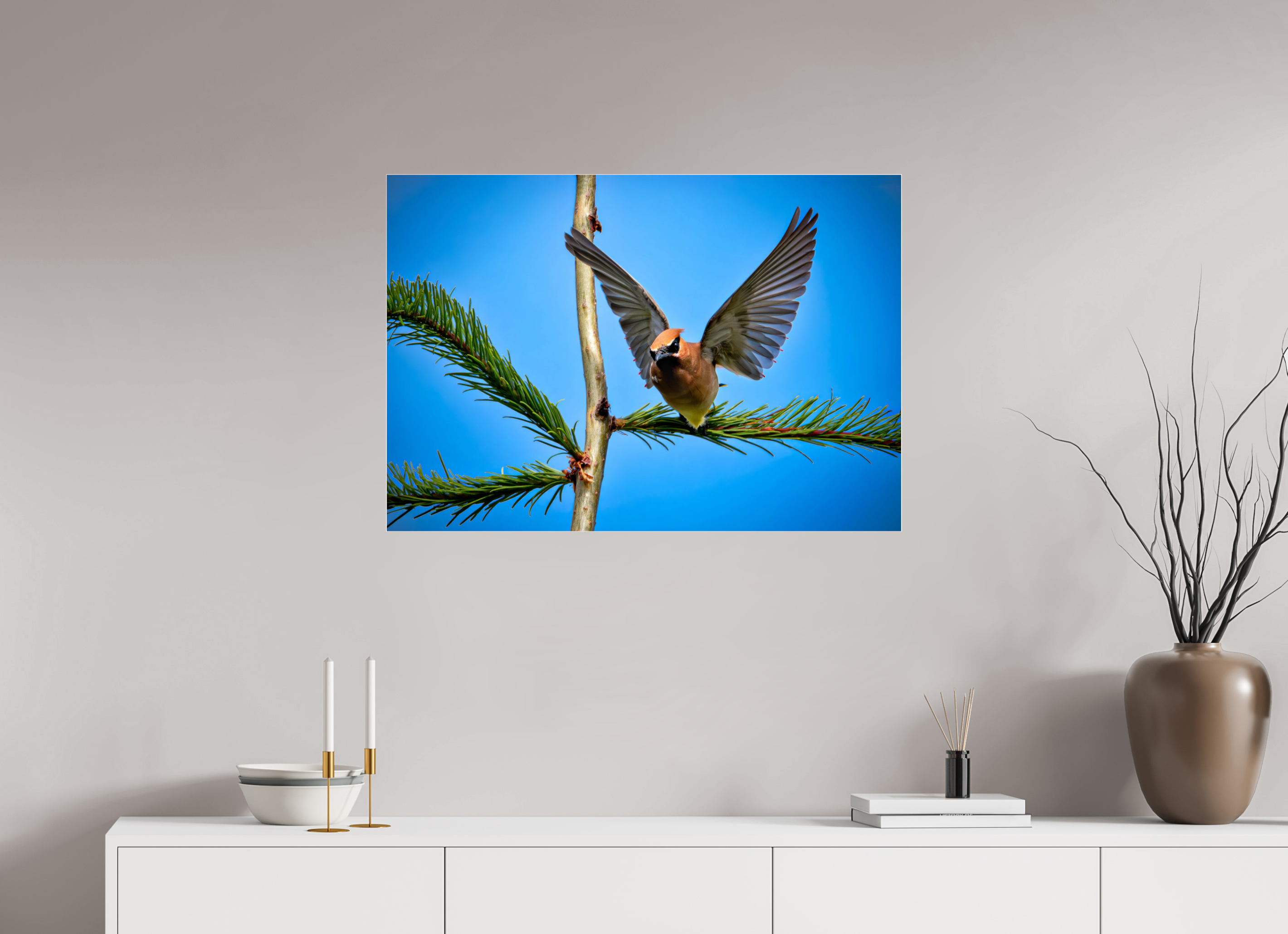 34.6 x 24″, Photo Mounted Under Acrylic Glass Wing of the Waxwing