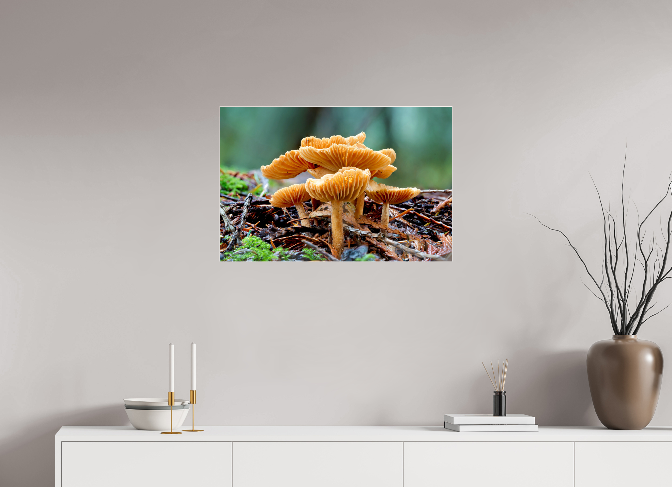 30 x 20″, Photo Mounted Under Acrylic Glass Family of Fungi