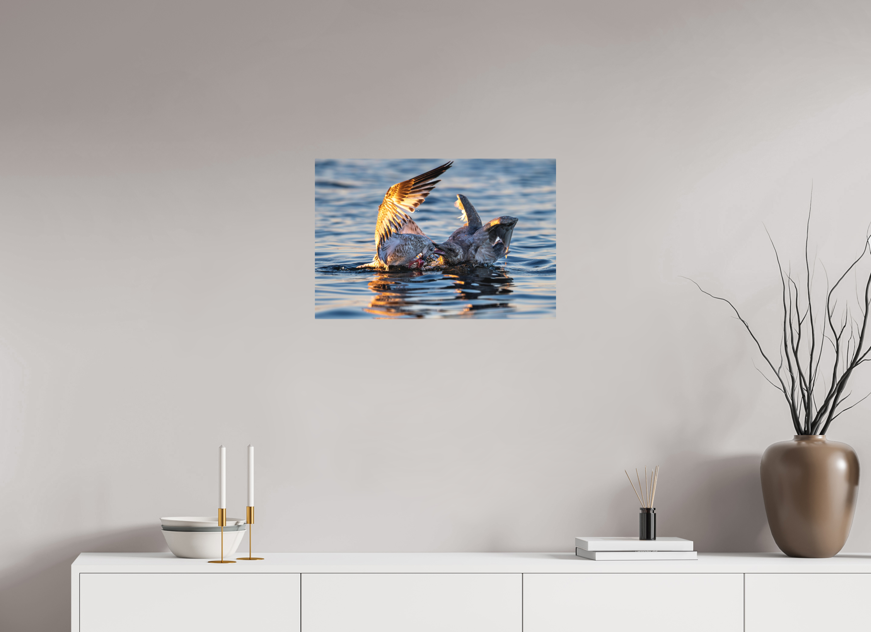 24 x 16″, Direct Print on Aluminum with mounting hardware included. Seabird Battle